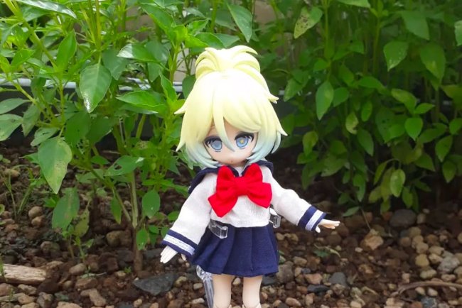 DZ. Handmade: Pakaian dan Aksesori Boneka Custom Berkualitas Tinggi