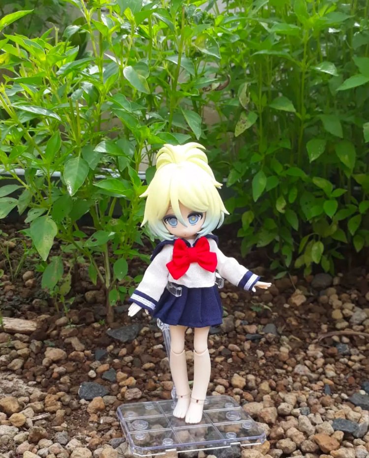 DZ. Handmade: Pakaian dan Aksesori Boneka Custom Berkualitas Tinggi